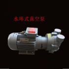 博山莱恩特 NHR130S QC25/10-KMS转向 304液压泵（个）不含安装